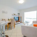 Apartamento Anasu *